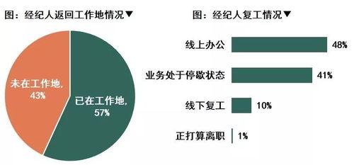 疫情下的行業(yè)百萬軍團(tuán) 中指調(diào)查揭示1000名房產(chǎn)經(jīng)紀(jì)人的生存之戰(zhàn)